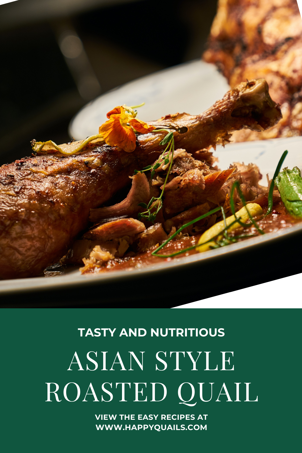 Asian Style Roasted Quail with Recipe Easy Quick Meal by HappyQuails