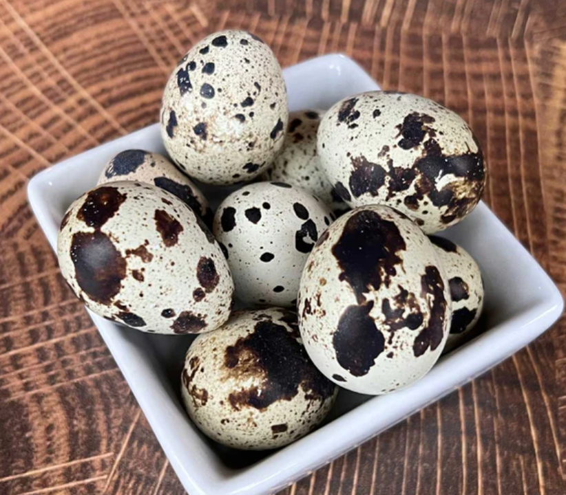 Quail Eggs for Sale