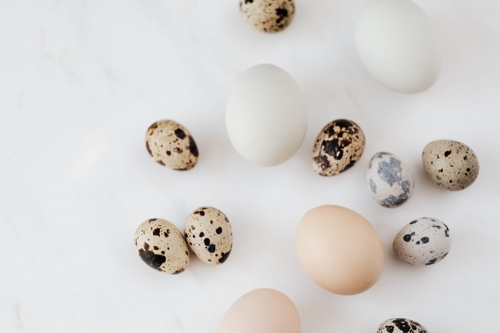 How To Hatch Quail Eggs